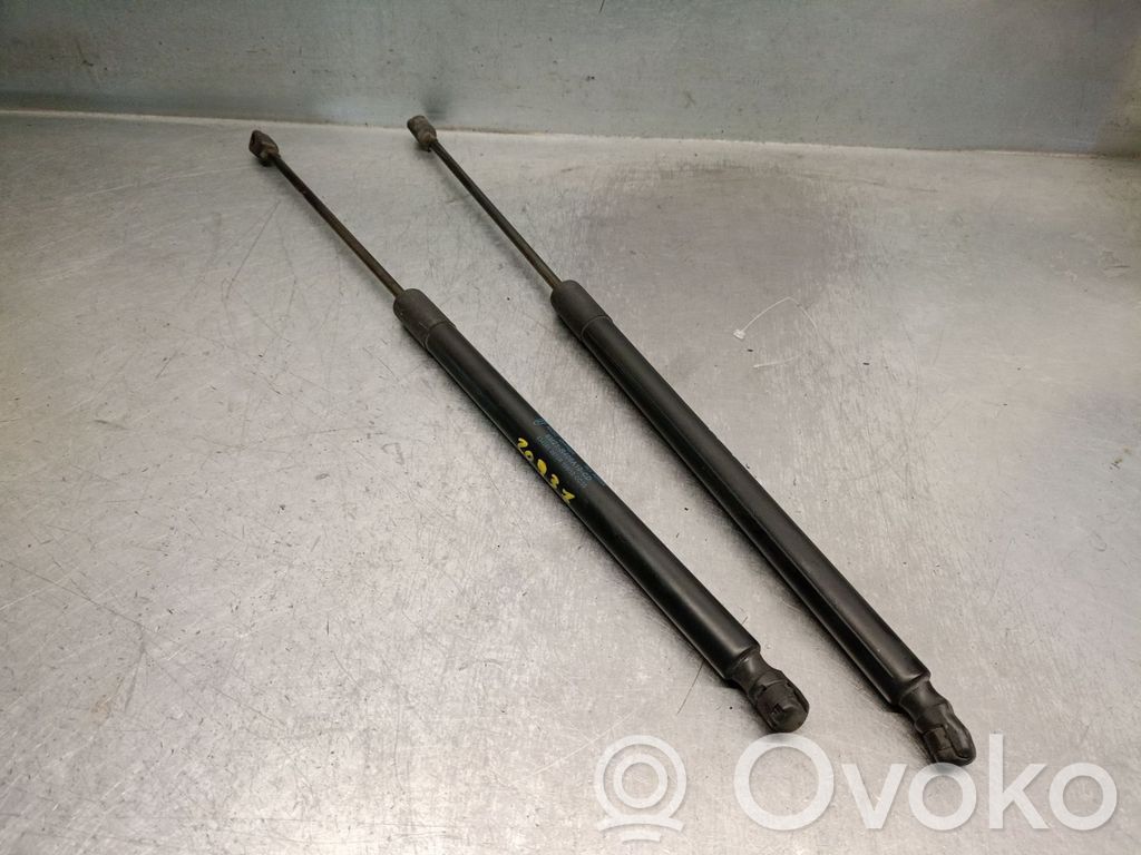 Ford S-MAX Tailgate/trunk strut/damper 