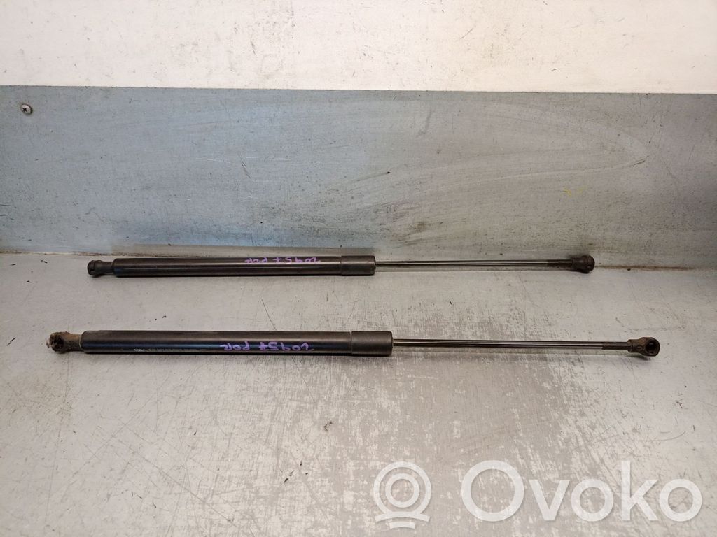 Citroen C3 Tailgate/trunk strut/damper 