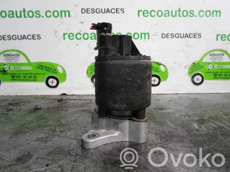 Daewoo Lanos Válvula EGR 