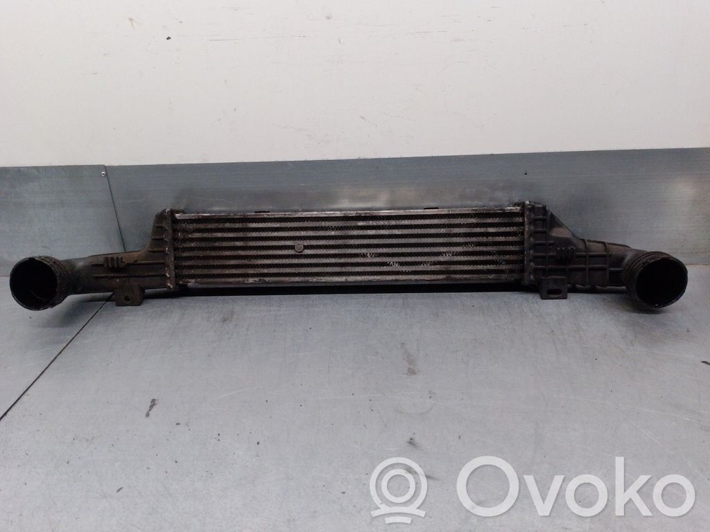 Mercedes-Benz E W210 Starpdzesētāja radiators 