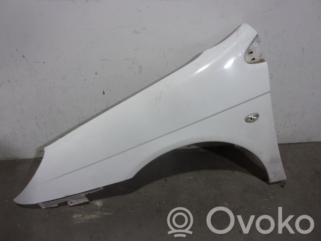 Citroen C5 Guardabarro 