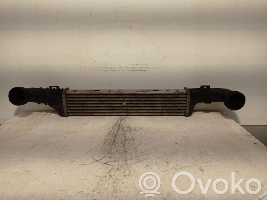Mercedes-Benz E W210 Starpdzesētāja radiators 