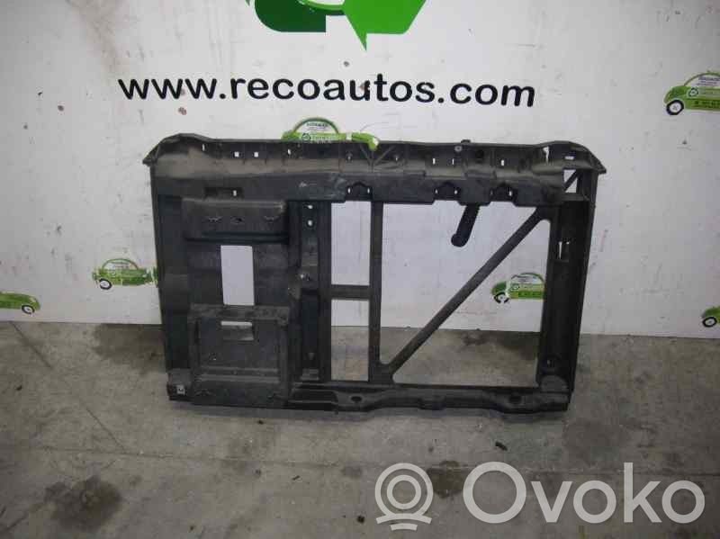 Peugeot 1007 Front grill 