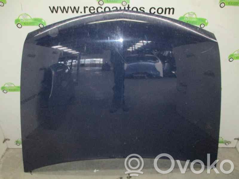 Motorhaube   7751474143,AZUL