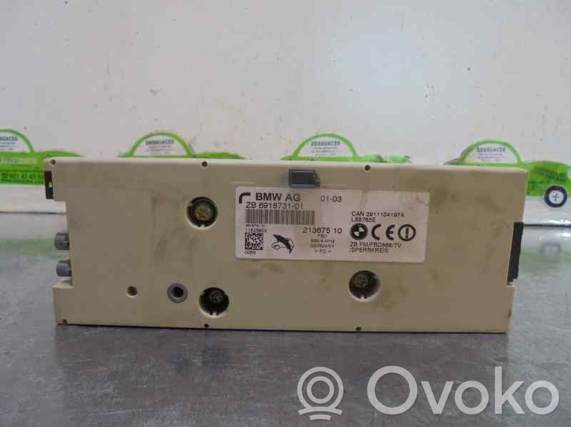 Radion antenni   691873101