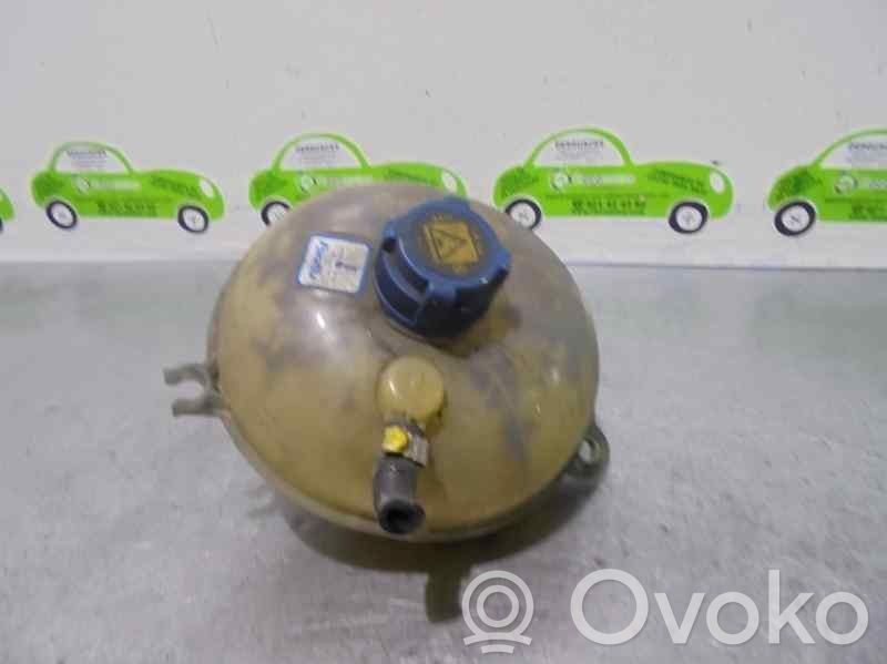 Fiat Stilo Kuro išsiplėtimo bakelis 