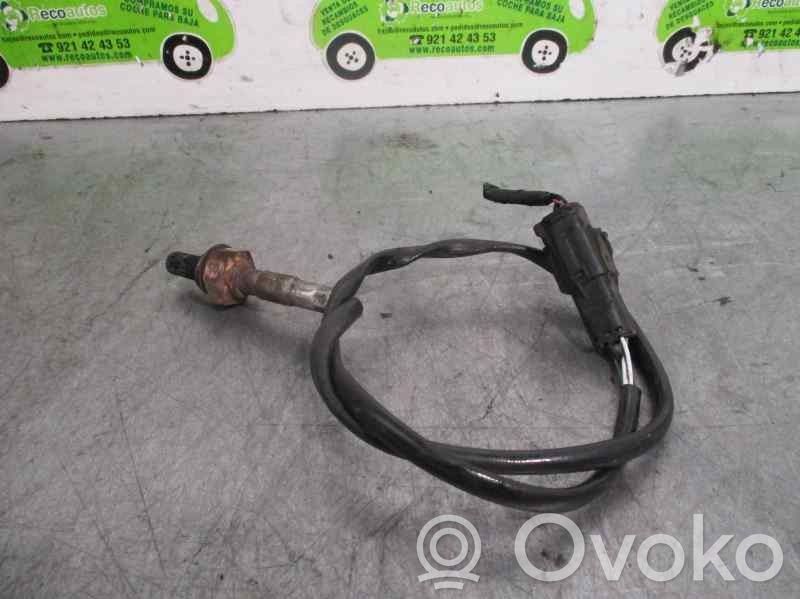 KIA Shuma Lambda zonde 
