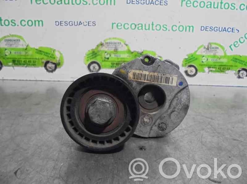 Întinzător curea generator/alternator   780033303