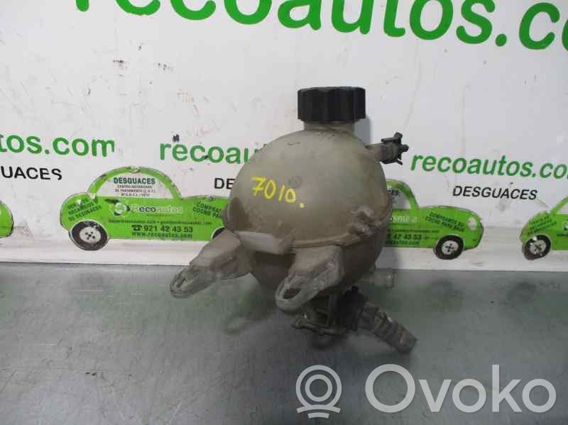 Citroen C3 Degvielas izplešanās tvertne 