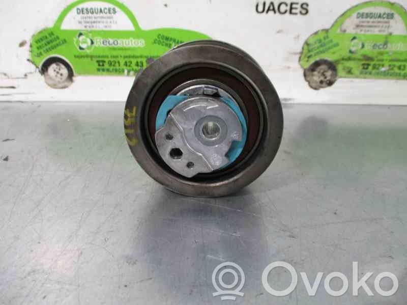 Seat Ibiza III (6L) Tendicinghia generatore/alternatore
