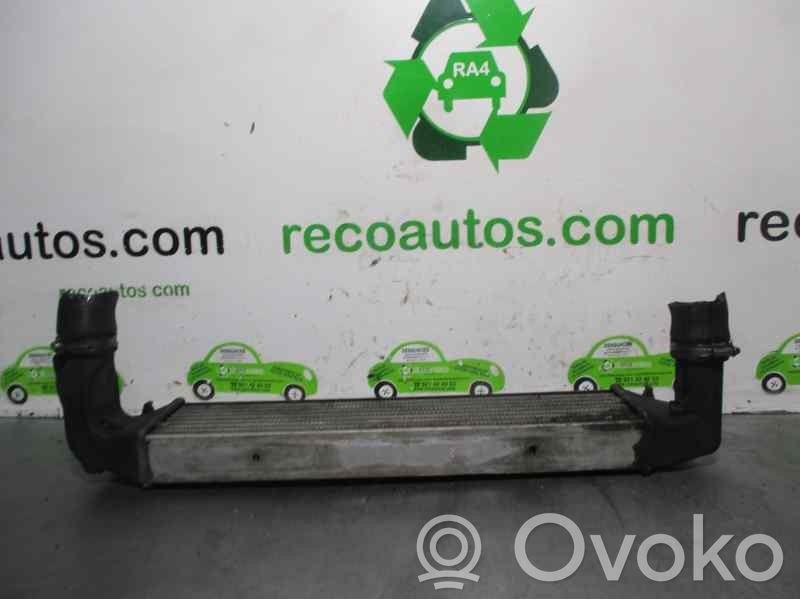 Radiador intercooler   17512246795