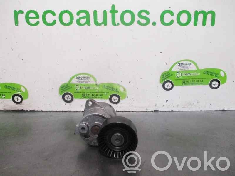 Mercedes-Benz CLK A209 C209 Generator/alternator belt tensioner 