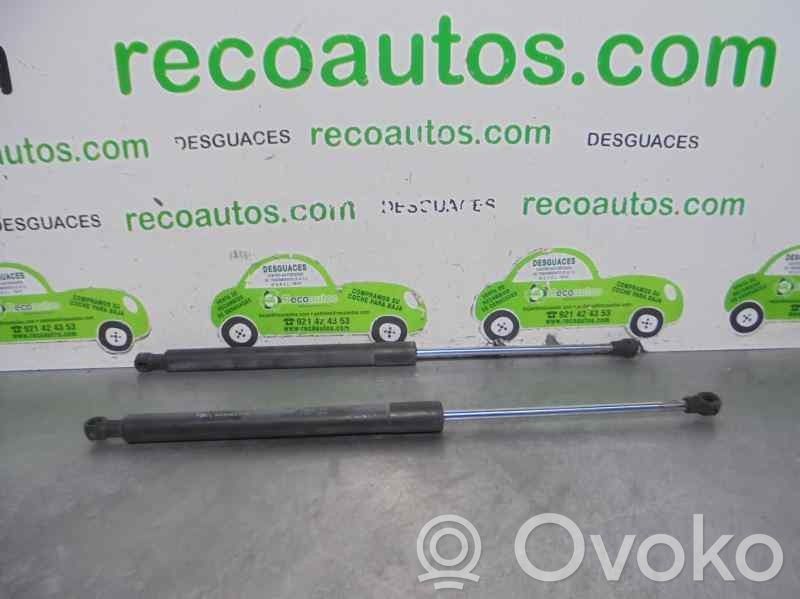 Renault Clio III Amortizor hayon 