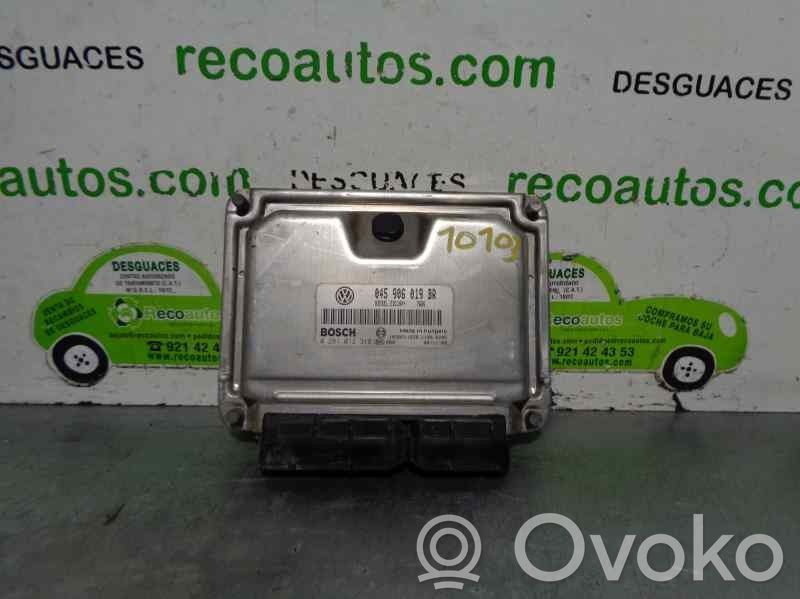 Seat Ibiza III (6L) Centralina/modulo del motore