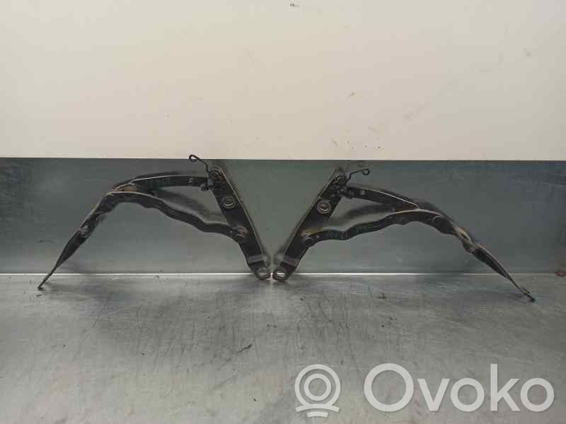 Cerniere del vano motore/cofano   14ES790410