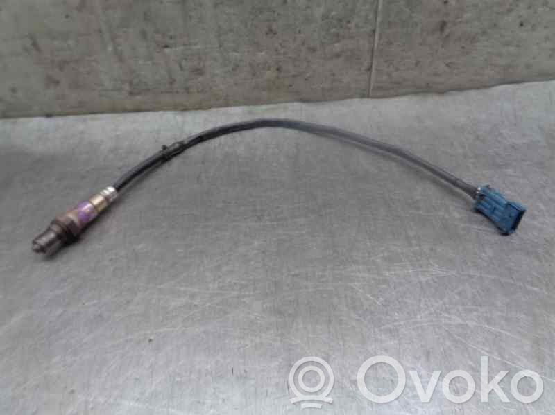 Citroen Xsara Lambda zondas 