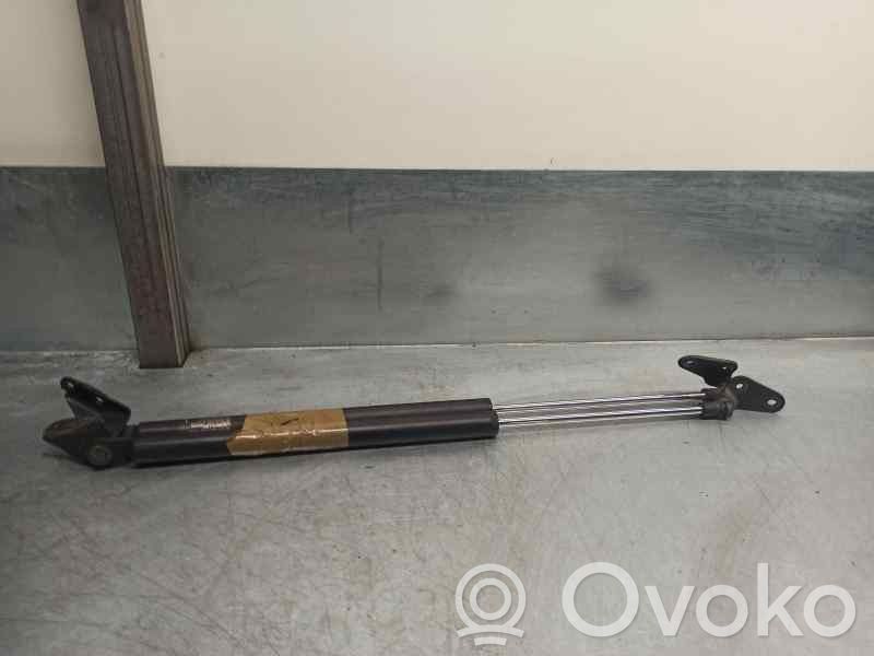 Tailgate/trunk strut/damper   9K19C1,6C08,SHOWA