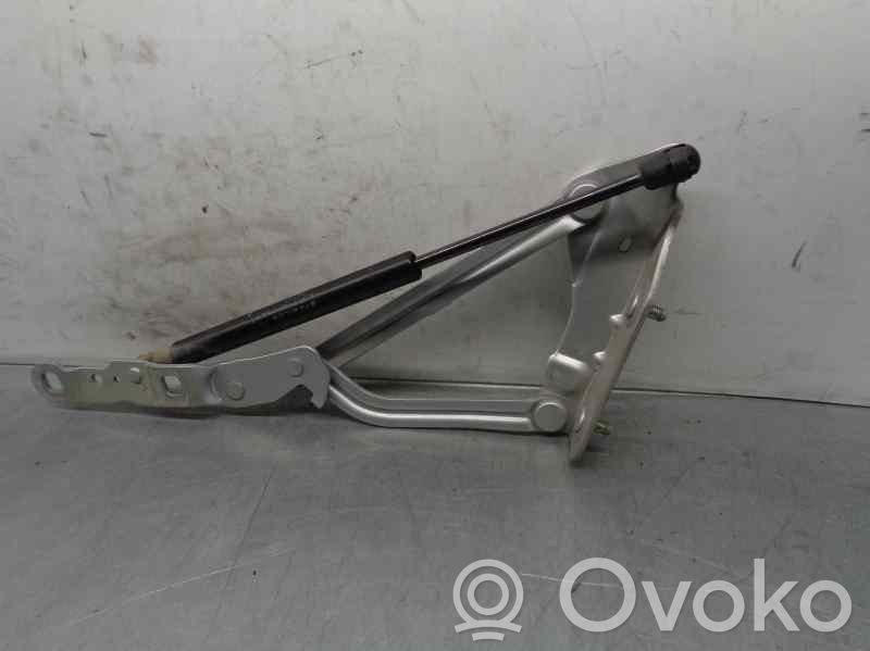 Renault Megane II Tailgate/trunk strut/damper 