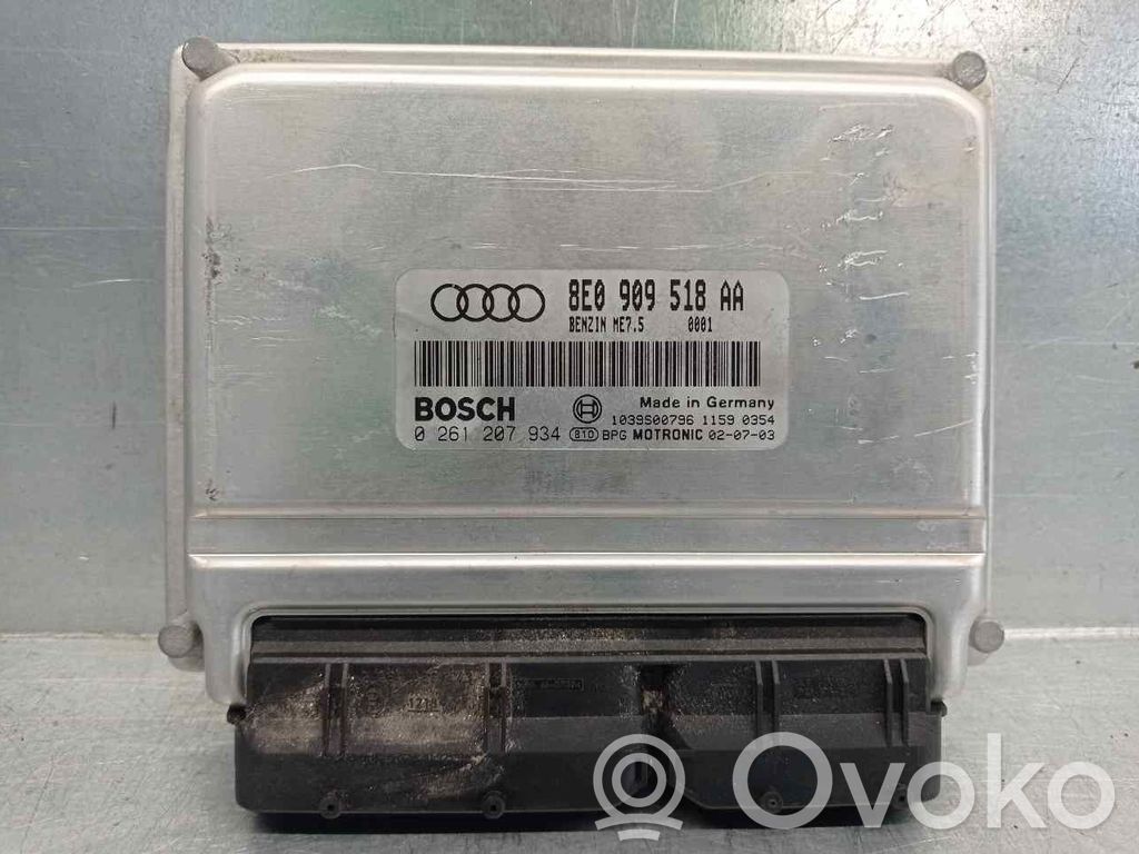 Audi A4 S4 B6 8E 8H Engine control unit/module 
