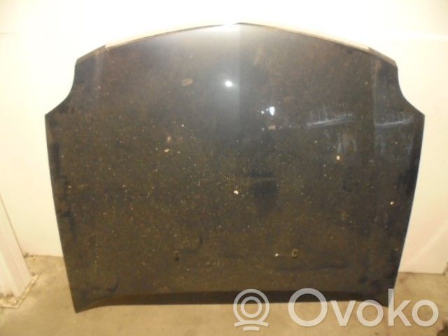 Engine bonnet/hood   VERDEAZULADO