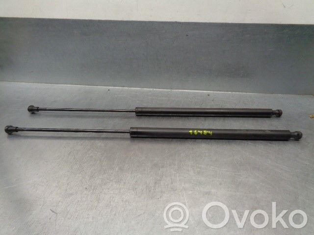 Citroen Saxo Tailgate/trunk strut/damper 