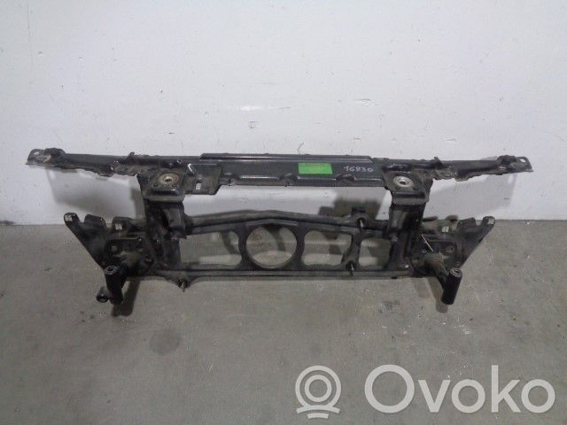 BMW 5 E39 Panelis 