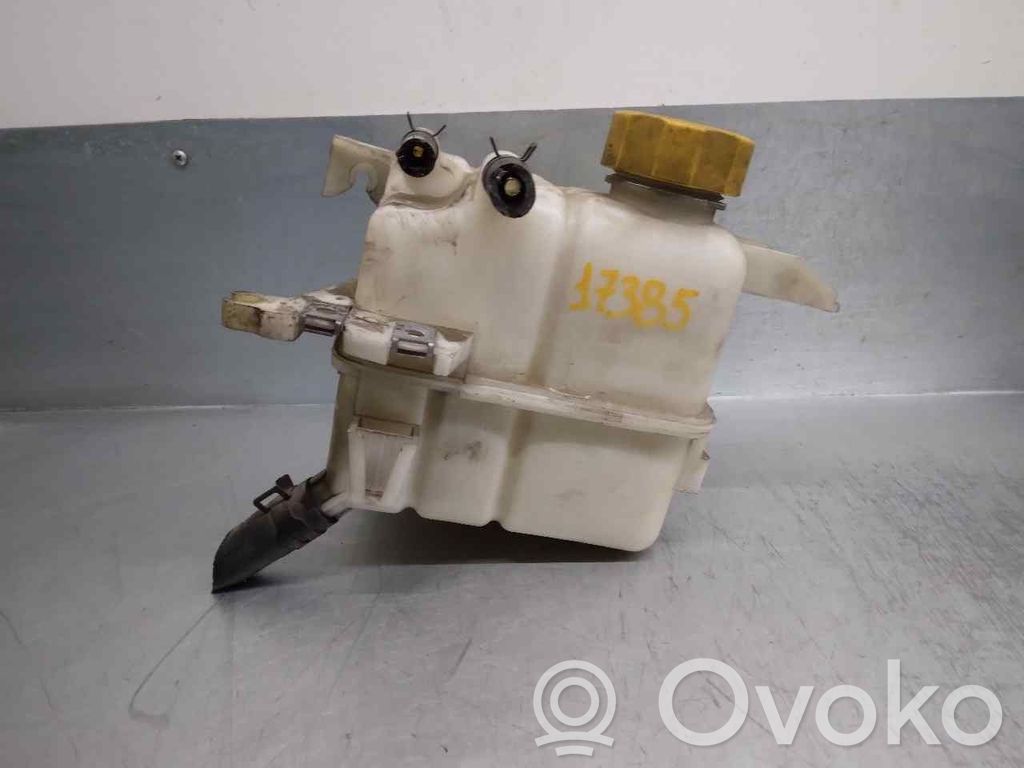 Chevrolet Captiva Vas expansiune combustibil