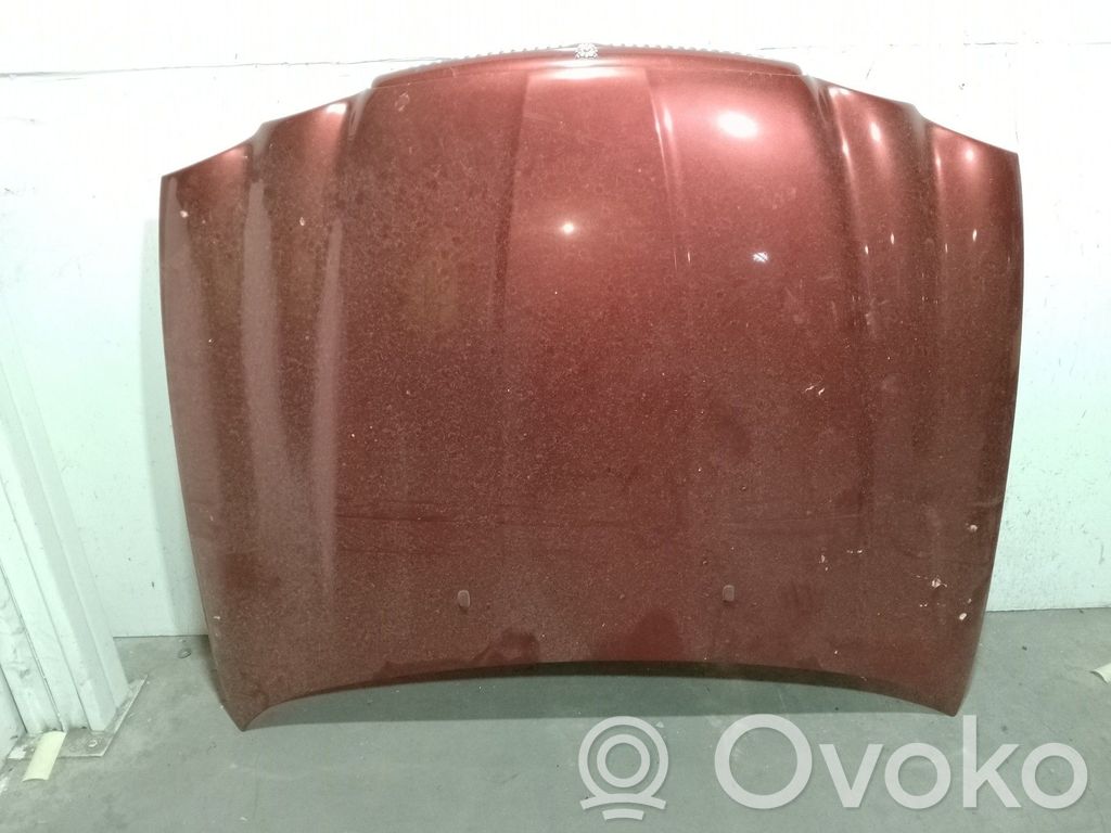 Konepelti   C2S33553