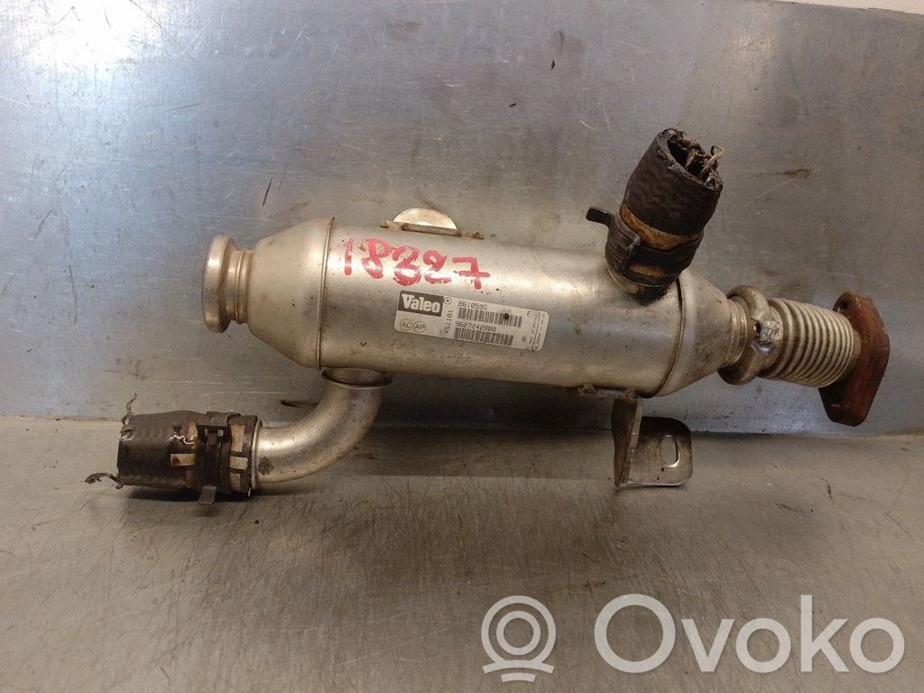 Citroen Xsara Răcitor supapă EGR 