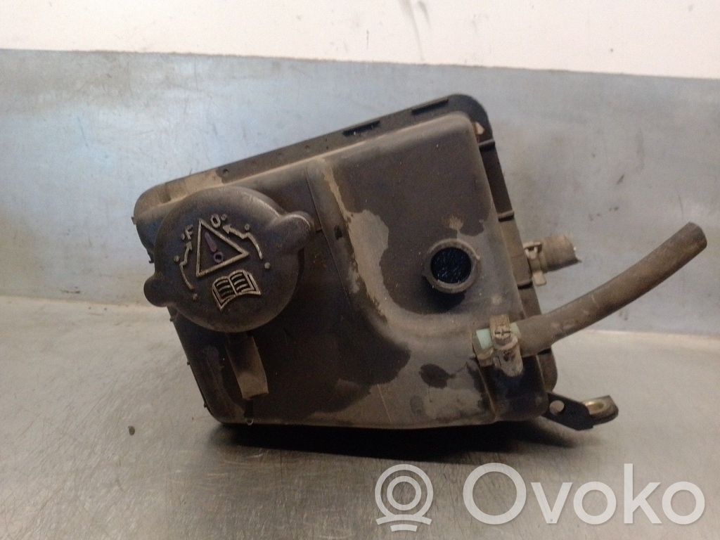 Peugeot 406 Vaso di espansione carburante