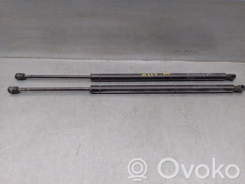 Chrysler Voyager Tailgate/trunk strut/damper 