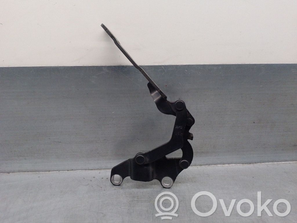 Fiat Coupe Cerniere del vano motore/cofano 