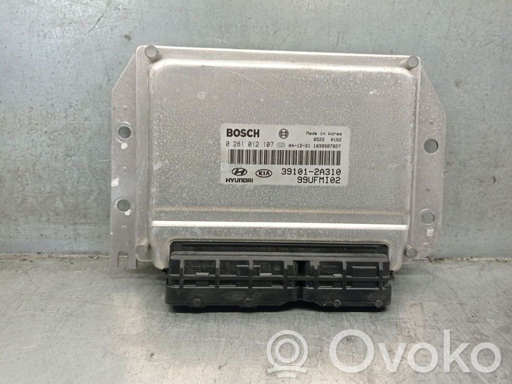 Hyundai Matrix Engine control unit/module 