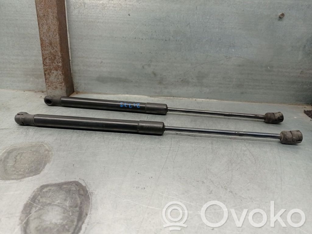 BMW X5 E70 Vérin, capot-moteur