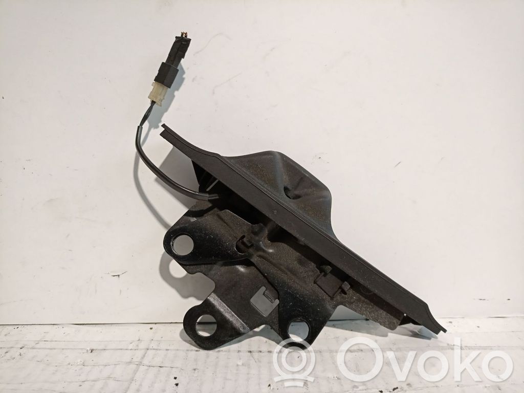 Capotă motor   133016504,186672
