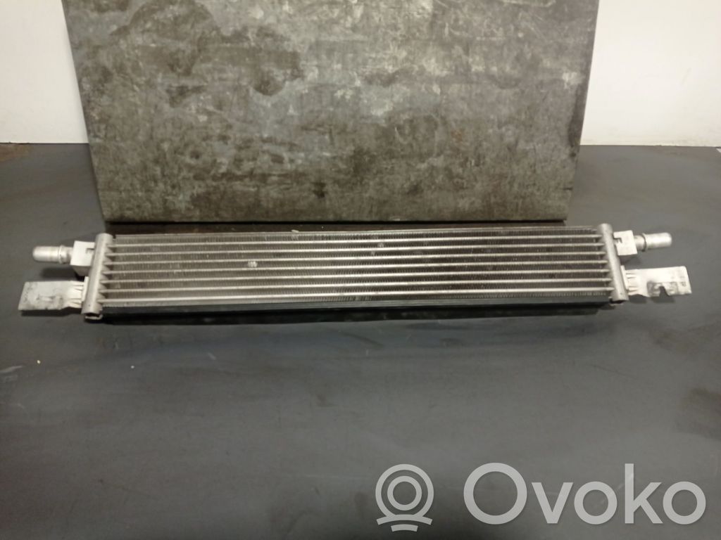 BMW 3 G20 G21 Radiatore di raffreddamento 