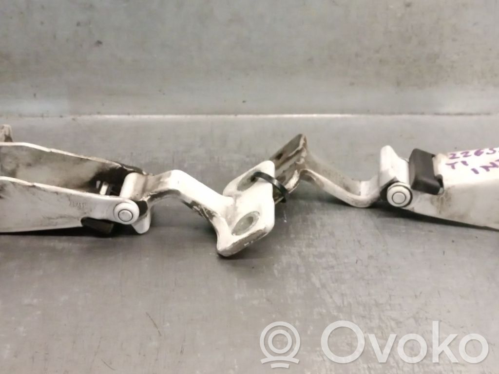 Renault Kangoo II Tailgate/trunk/boot hinge 