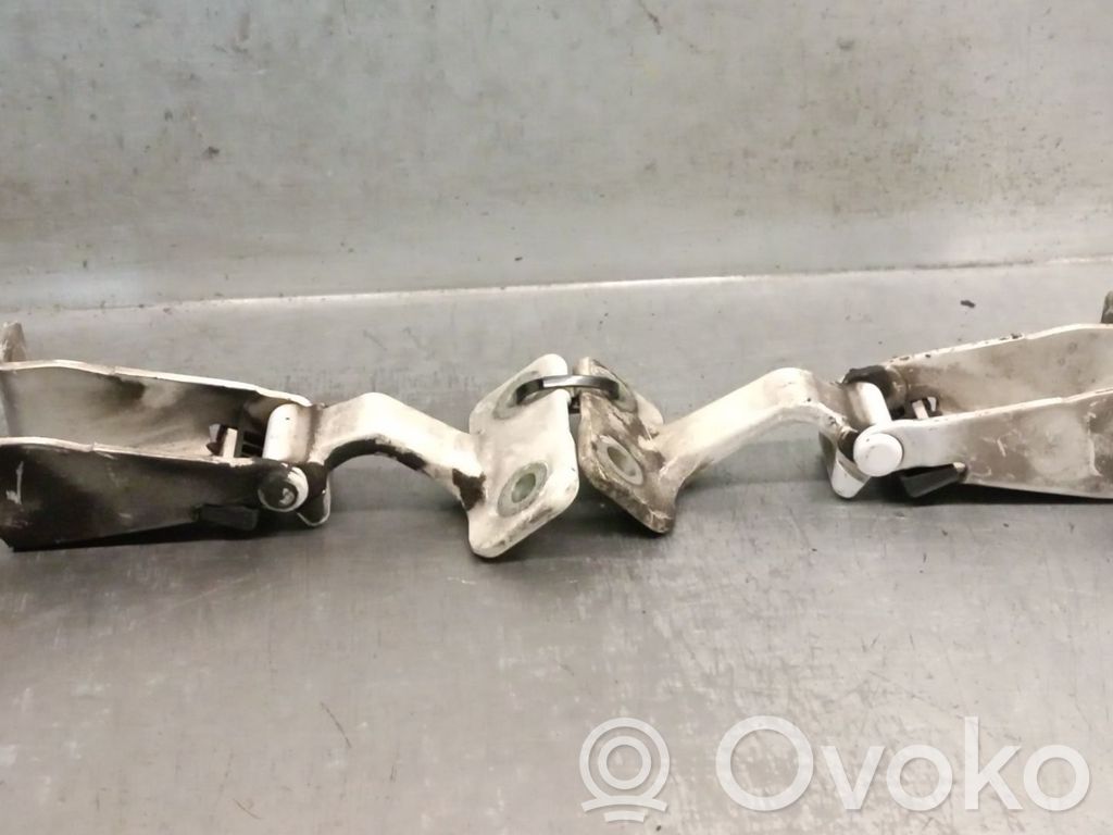 Renault Kangoo II Tailgate/trunk/boot hinge 