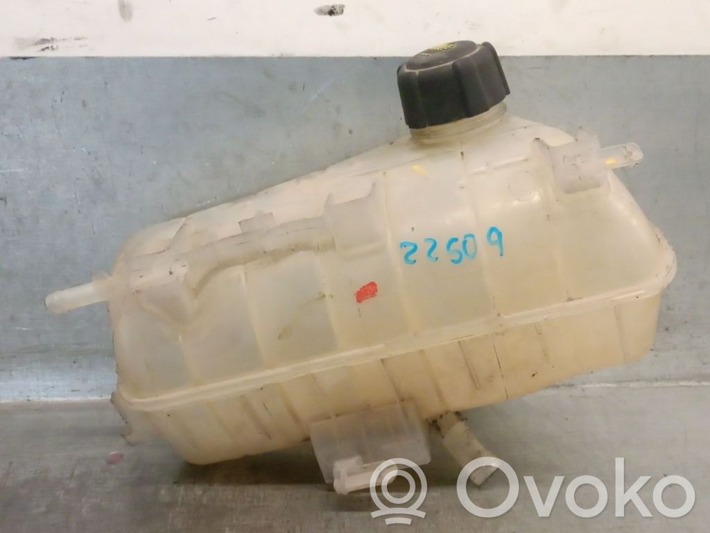 Renault Kangoo II Degvielas izplešanās tvertne 