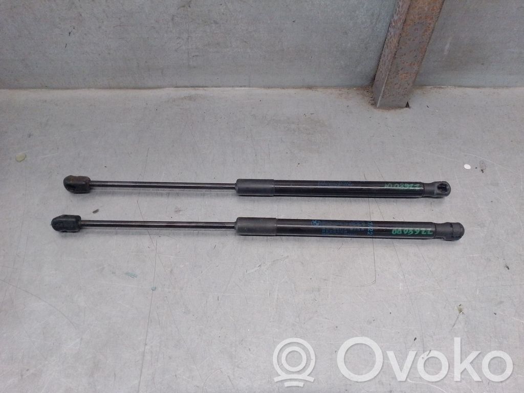 BMW X1 F48 F49 Ammortizzatore portellone anteriore/cofano 