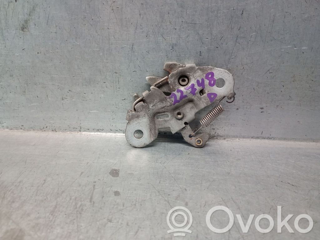 Tie down hook / loop   793446,793446