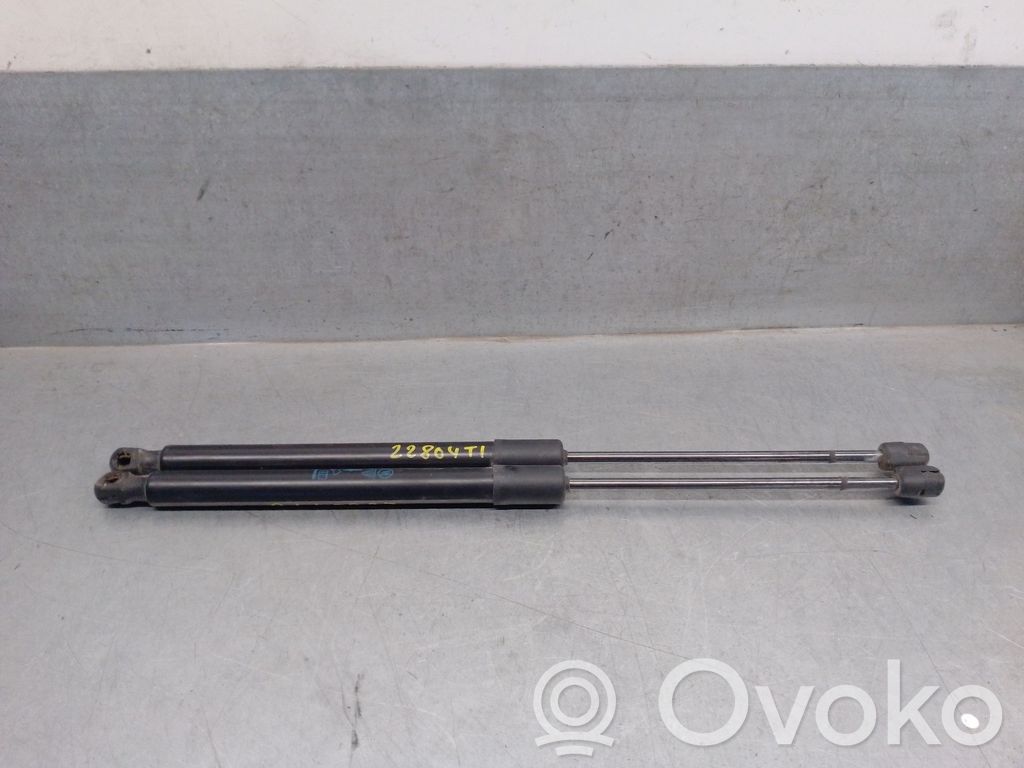 Citroen C3 Tailgate/trunk strut/damper 