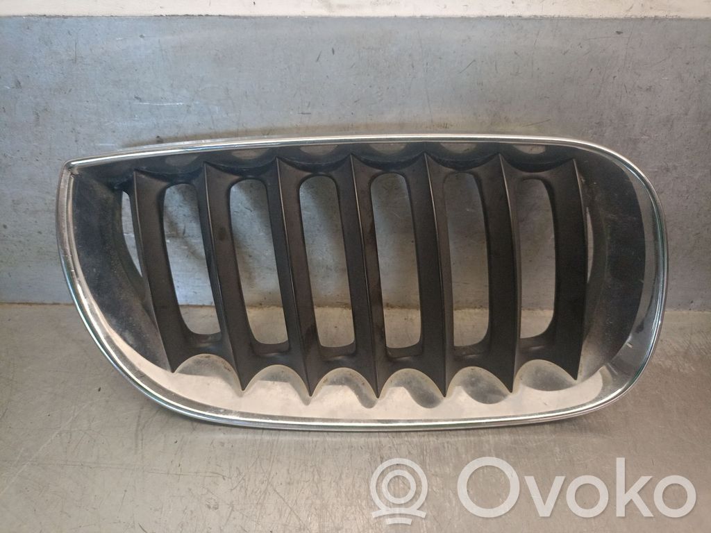 BMW X3 E83 Front grill 