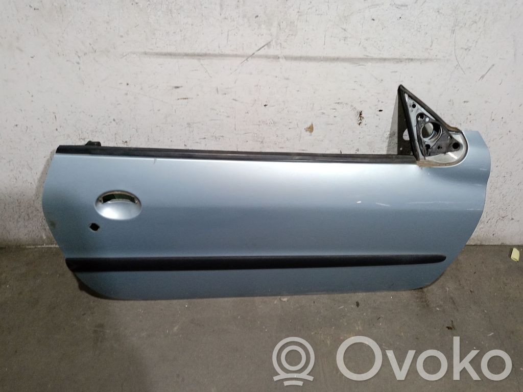 Puerta delantera   9004P1,9004P1