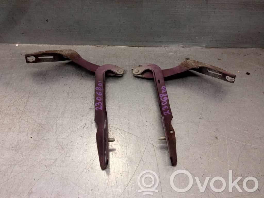 Peugeot 307 Cerniere del vano motore/cofano 
