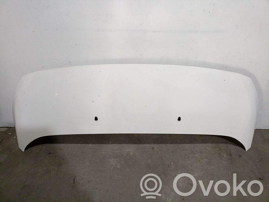 Vano motore/cofano   5596452