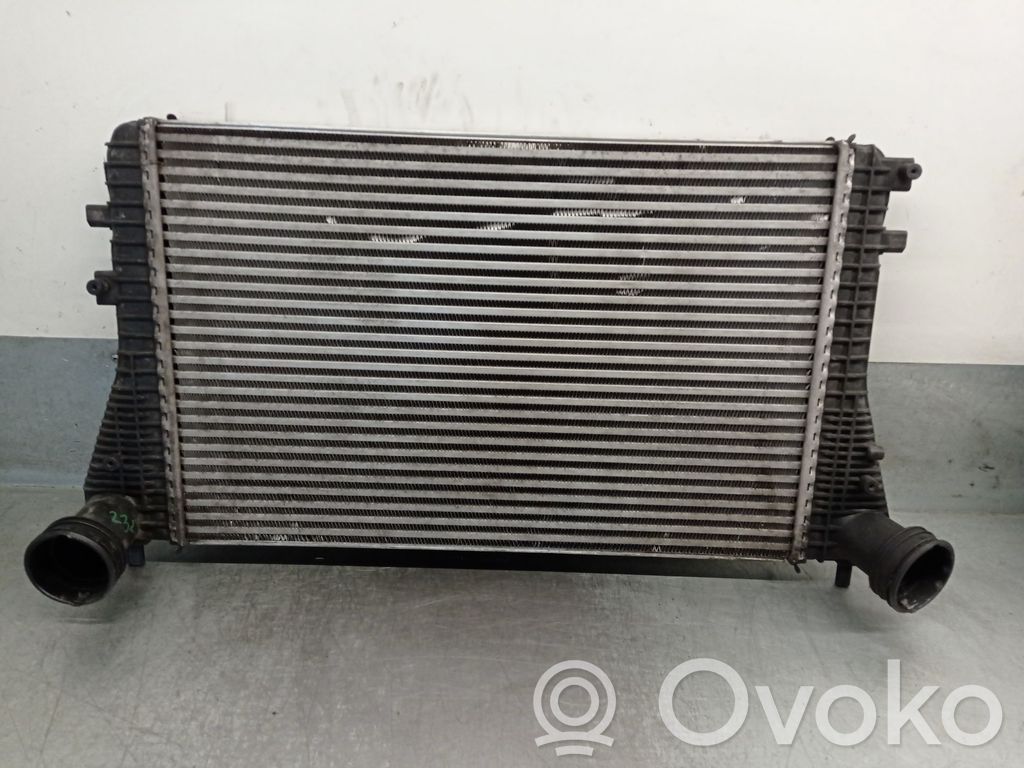 Volkswagen Golf SportWagen Radiatore intercooler