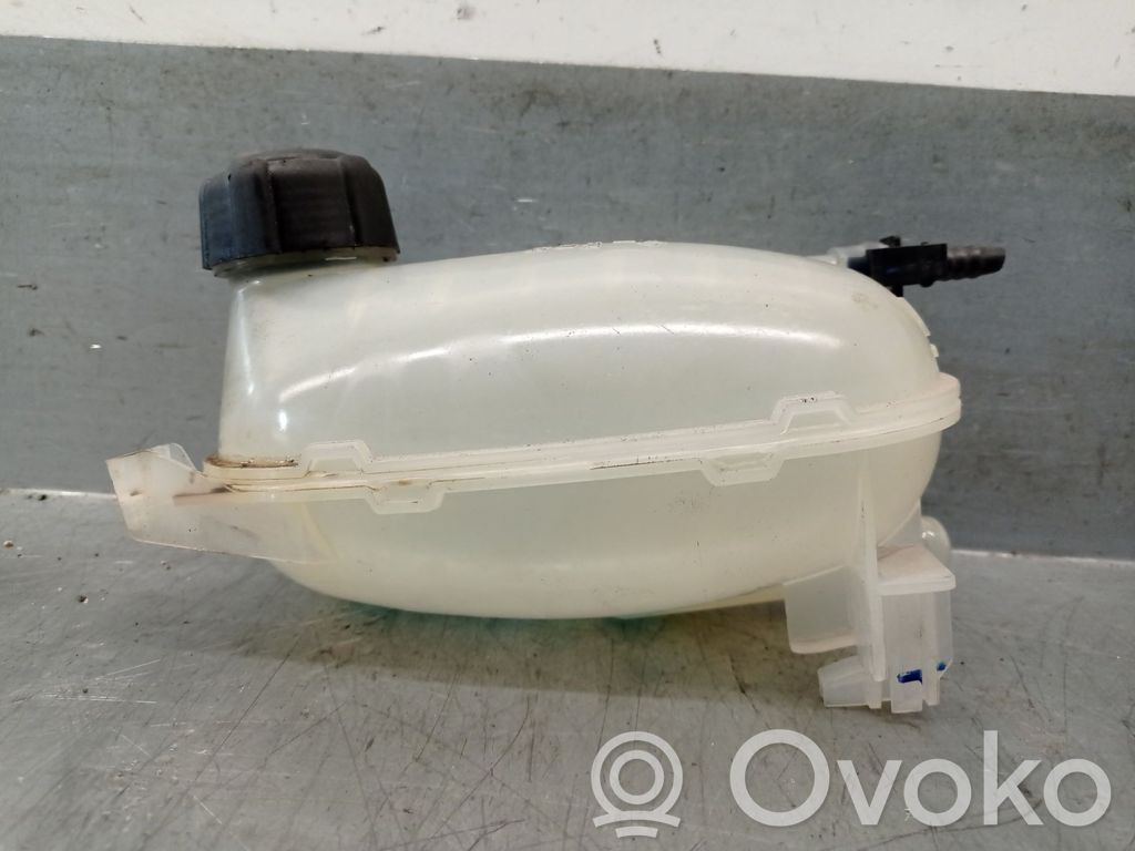 Nissan Juke II F16 Vaso di espansione carburante