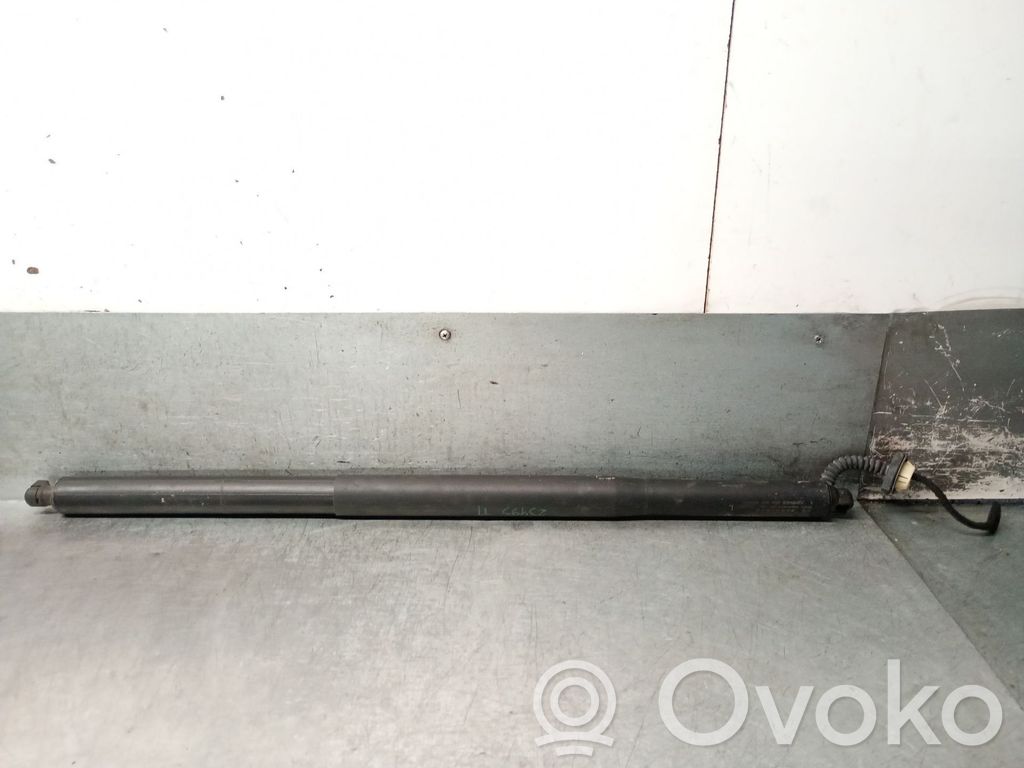 Amortiguador/puntal del maletero/compartimento de carga   51245A1E357
