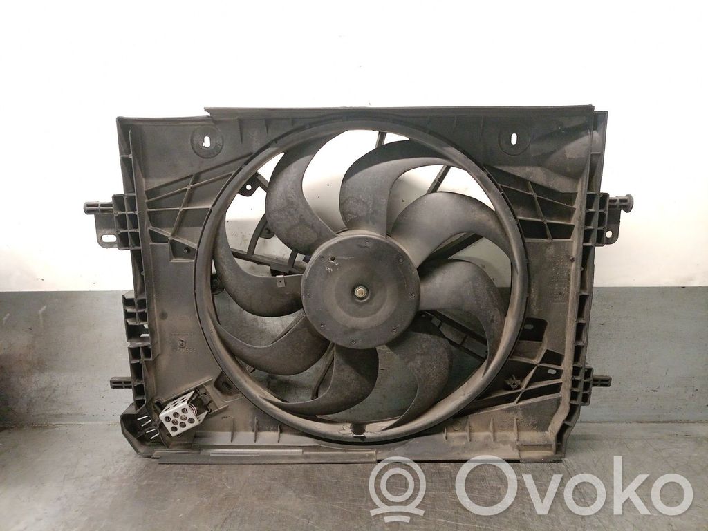 Elektrolüfter   214818009R,214818009R
